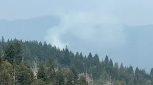 Wildfire reported in Belcarra Regional Park, Metro Vancouver