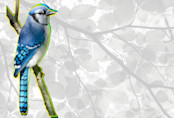 The colour blue is elusive in nature. Here's why