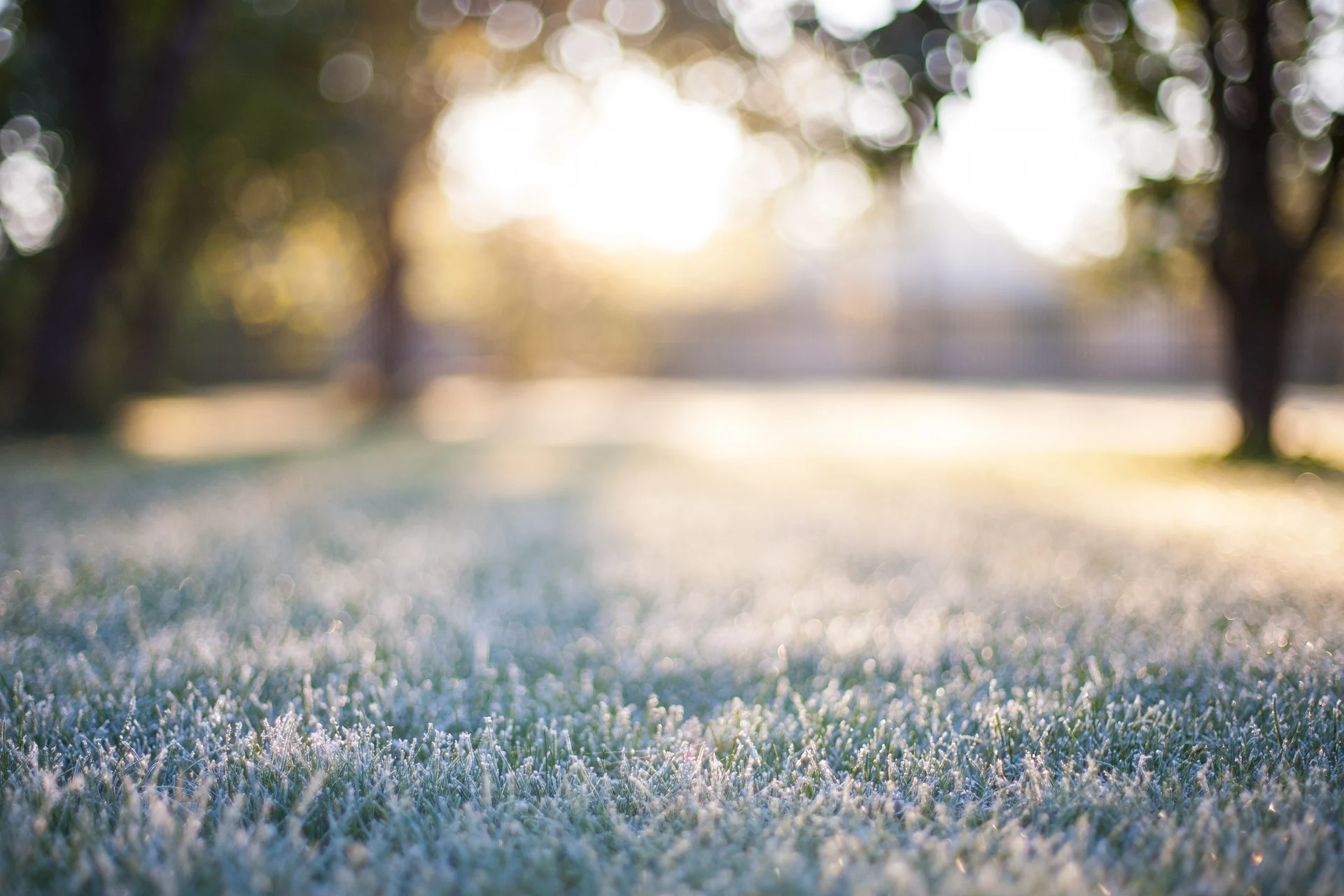 Le froid n'a pas encore quitté le Québec