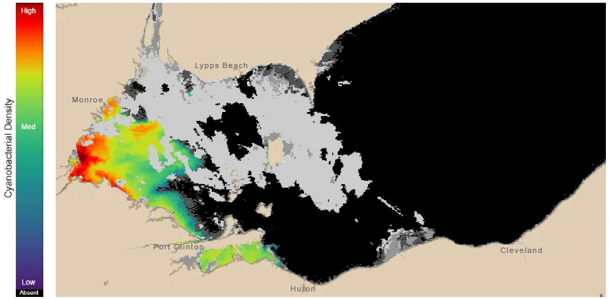 Cyanobacteria-Algal-Bloom-Satellite-August3-2019-NOAA-GLERL