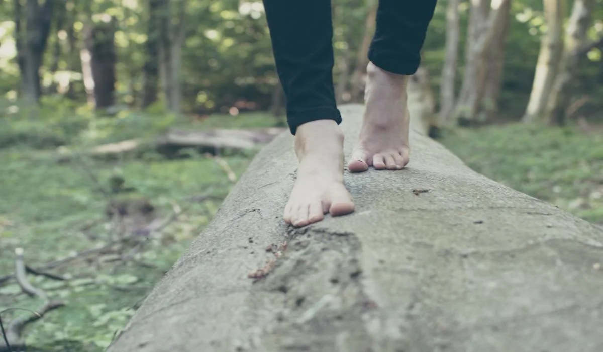 5000 ans d'histoire sous nos pieds