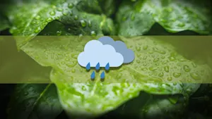 Jusqu'à 50 mm de pluie : un vendredi sous haute surveillance. Détails ici. 
