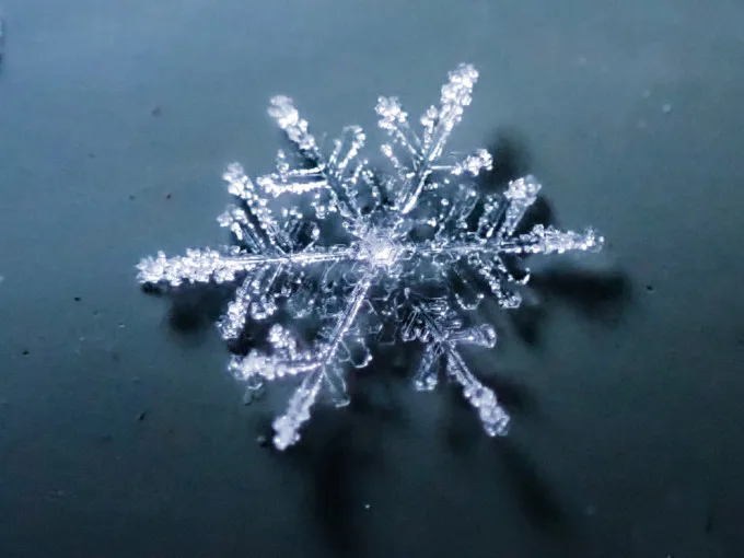 De magnifiques macrophotographies de flocons de neige révèlent leur impressionnante complexité!