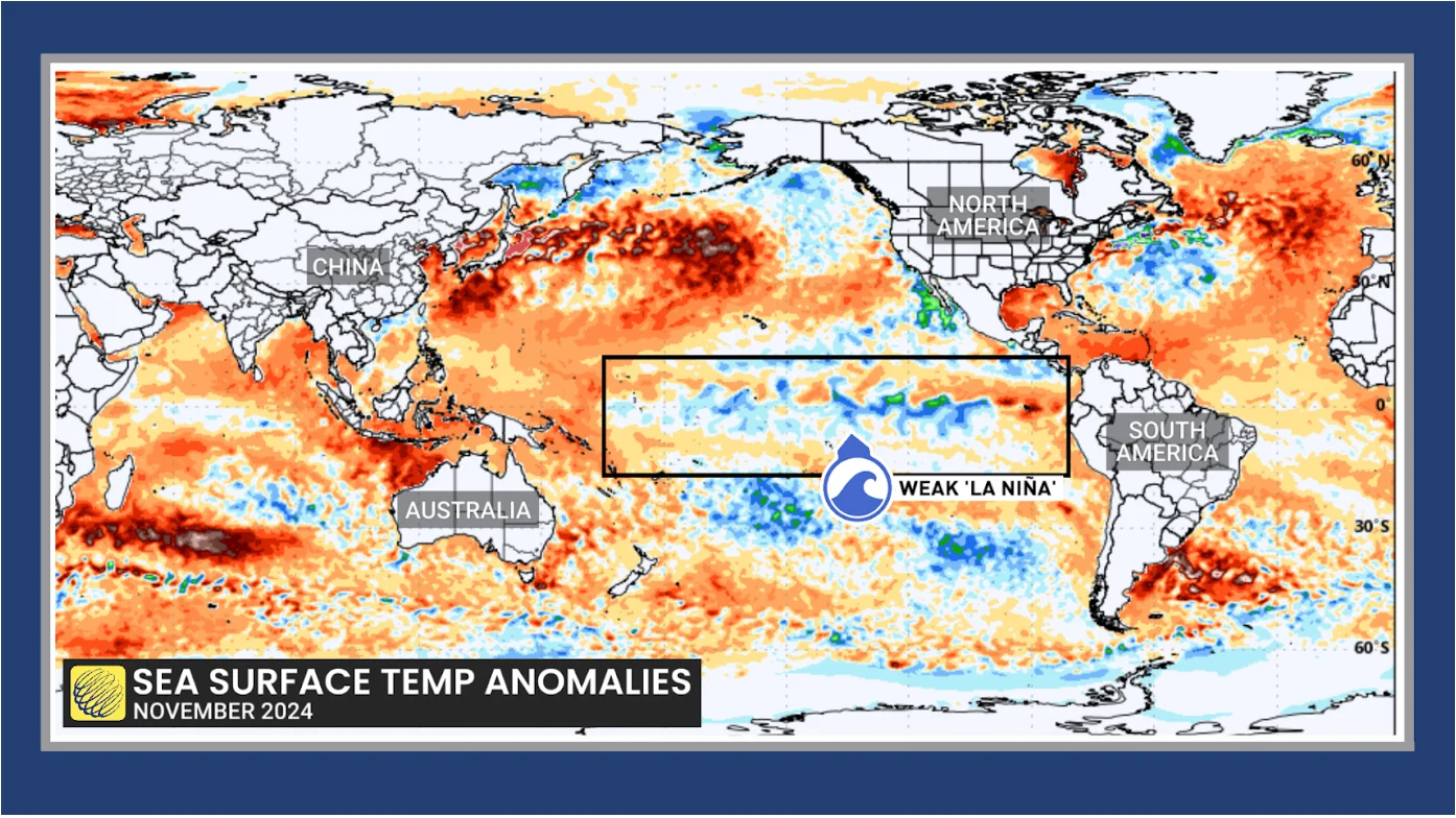 November 2024 Sea surface temperature anomalies 