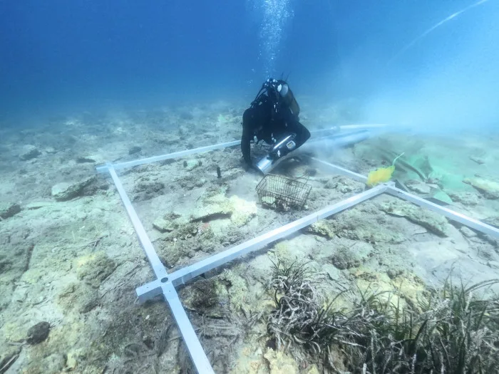 Découverte sous-marine : des vestiges vieux de 6 000 ans