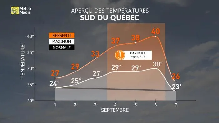 CANICULE2