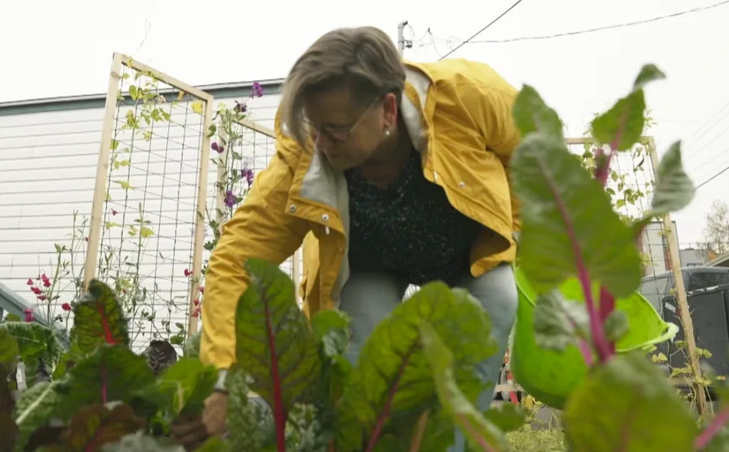 CBC: France Benoit says even small tasks around her urban farm were made more difficult by the smoke. (CBC News)