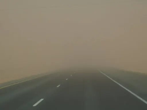 A dust storm led to one of the biggest vehicle pileups in California history