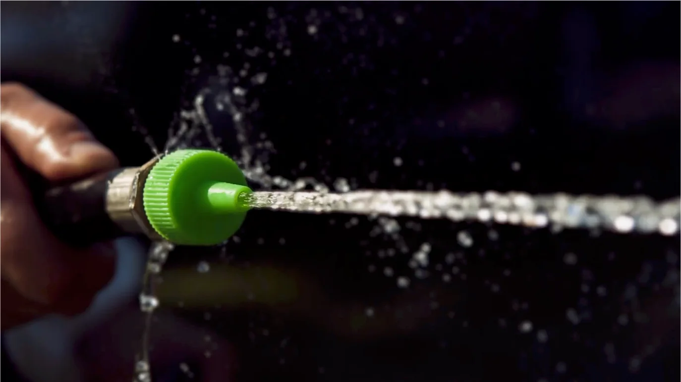 STOCK (Storyblocks) | Regularly hosing down the plants in your lawn and garden in the summer can help control aphid populations.