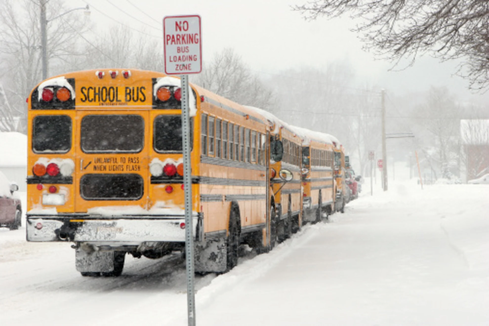 Storm system arrives in Thunder Bay cancelling some rural schools and bus routes