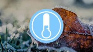 Neige et chute du mercure : l’hiver frappe à la porte du Québec. Détails ici. 