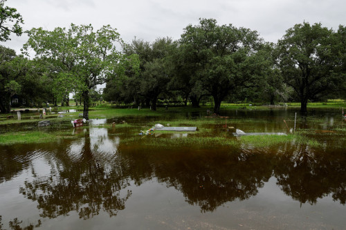 Beryl Leaves At Least 7 Dead, Knocks Out Power To Millions In Texas ...