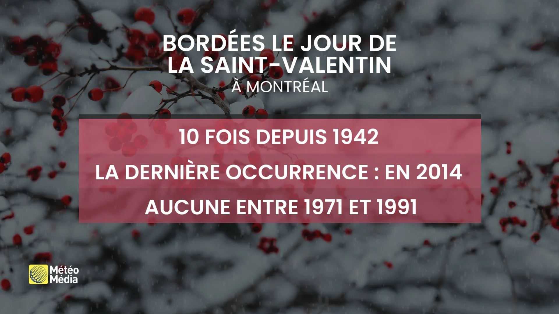 bordees 14 fevrier
