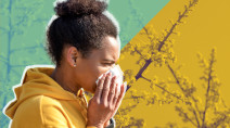 How do we know how much pollen is in the air, anyway?