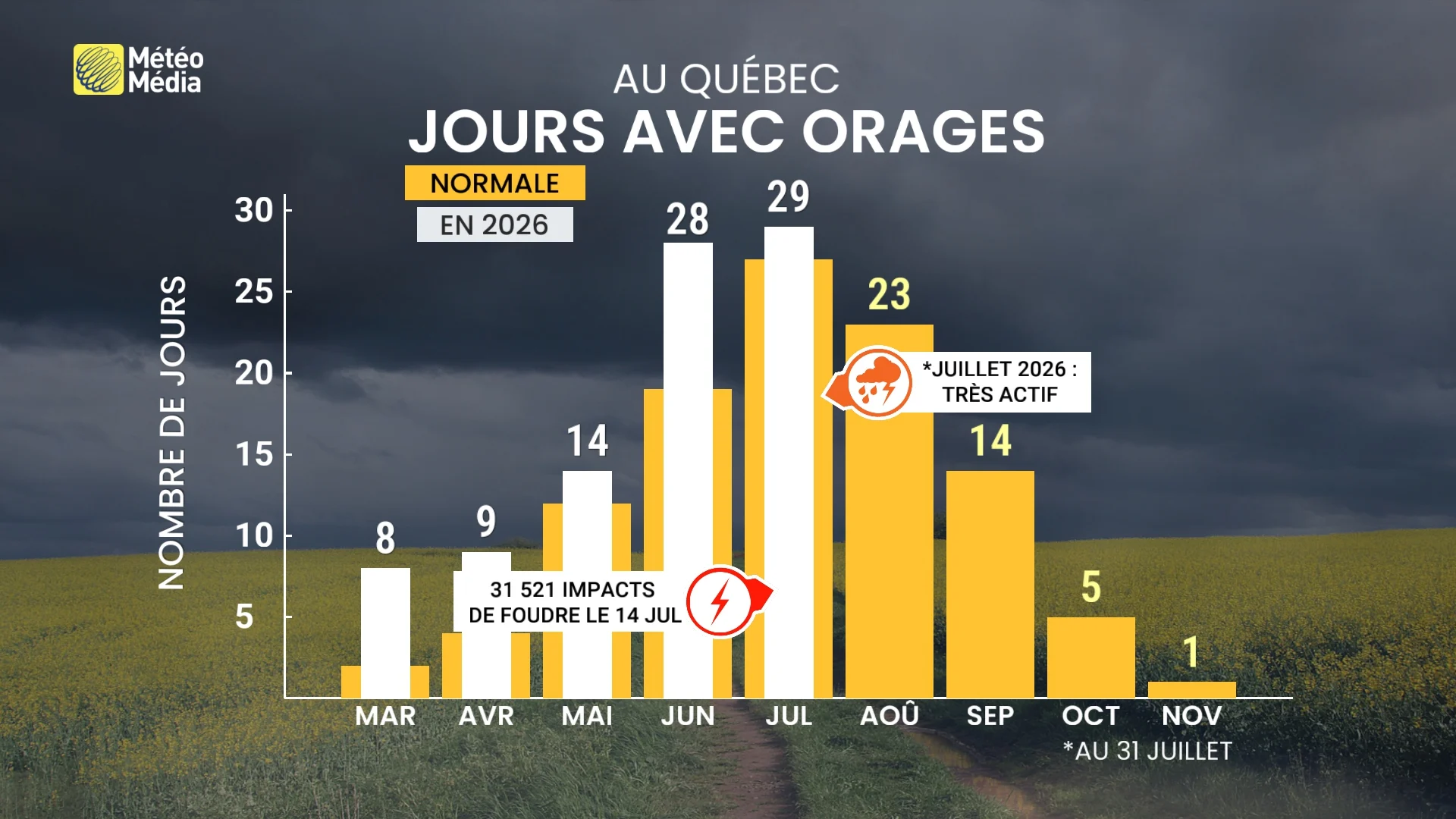 BILAN2
