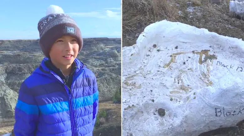 'Significant discovery': 12-year-old boy finds dinosaur skeleton in Alberta