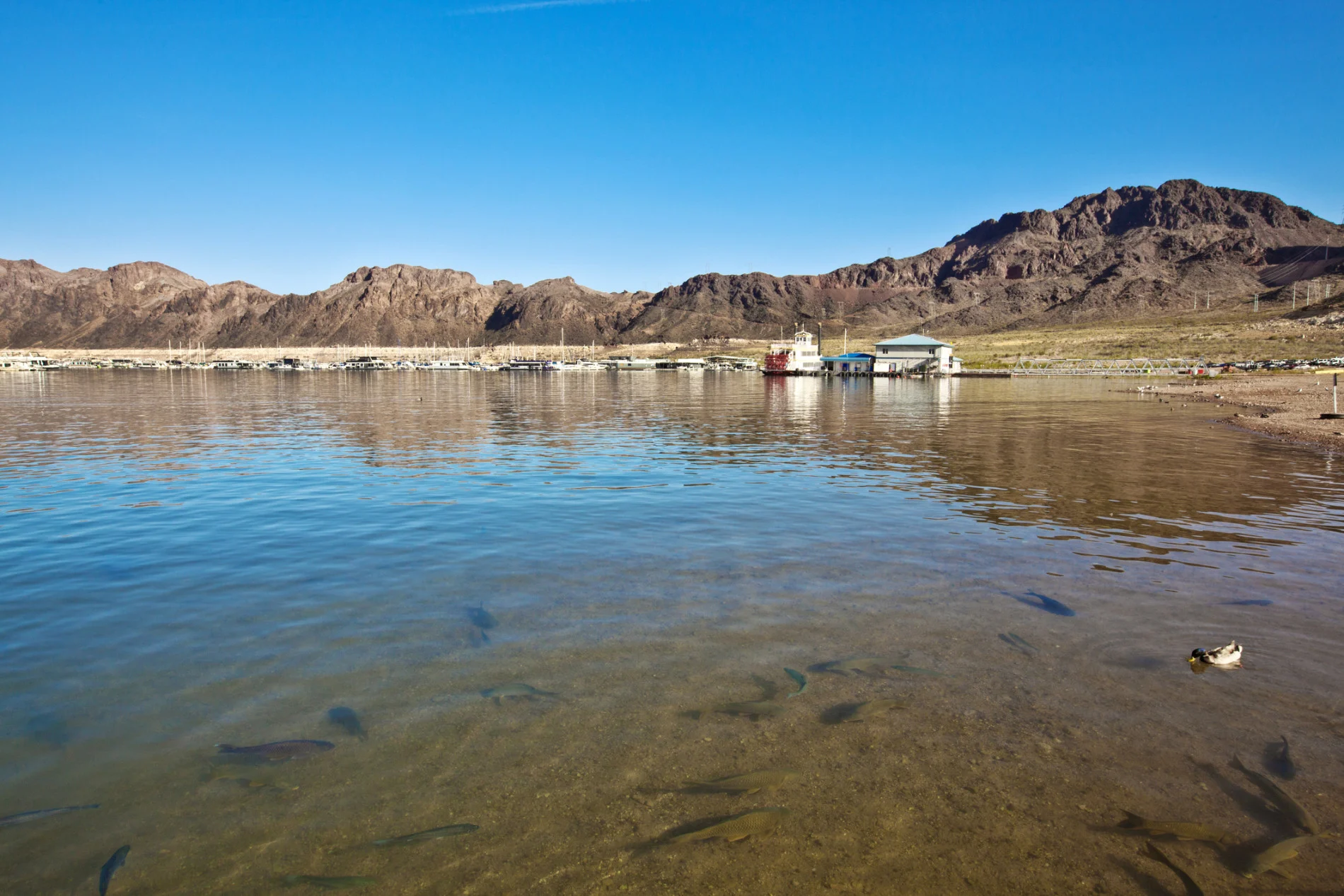 Lake Mead is typically around 372 metres above sea level when full. (Geri Lavrov/ Moment/ Getty Images)
