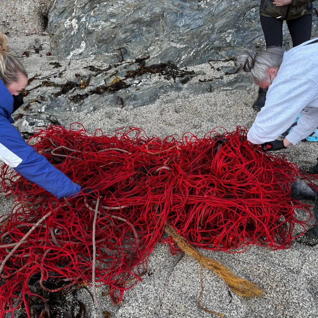 BDMLR - fishing net 3