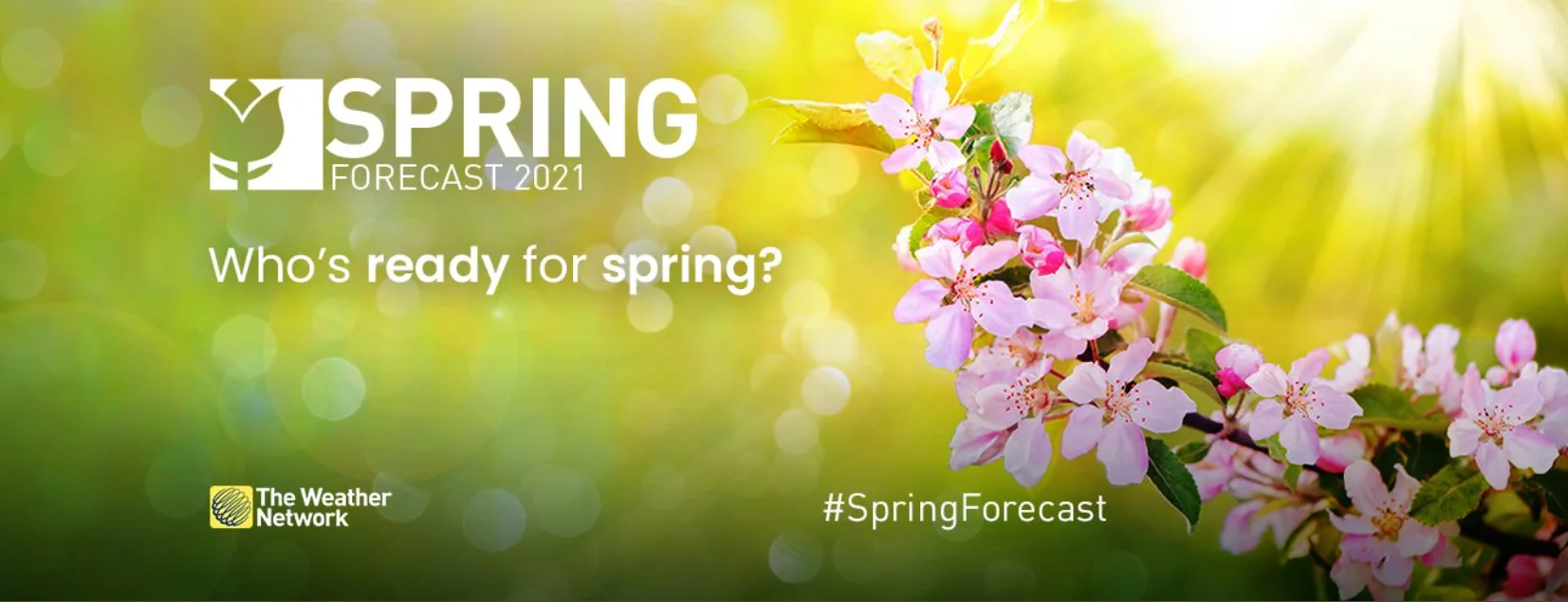 Spring Forecast