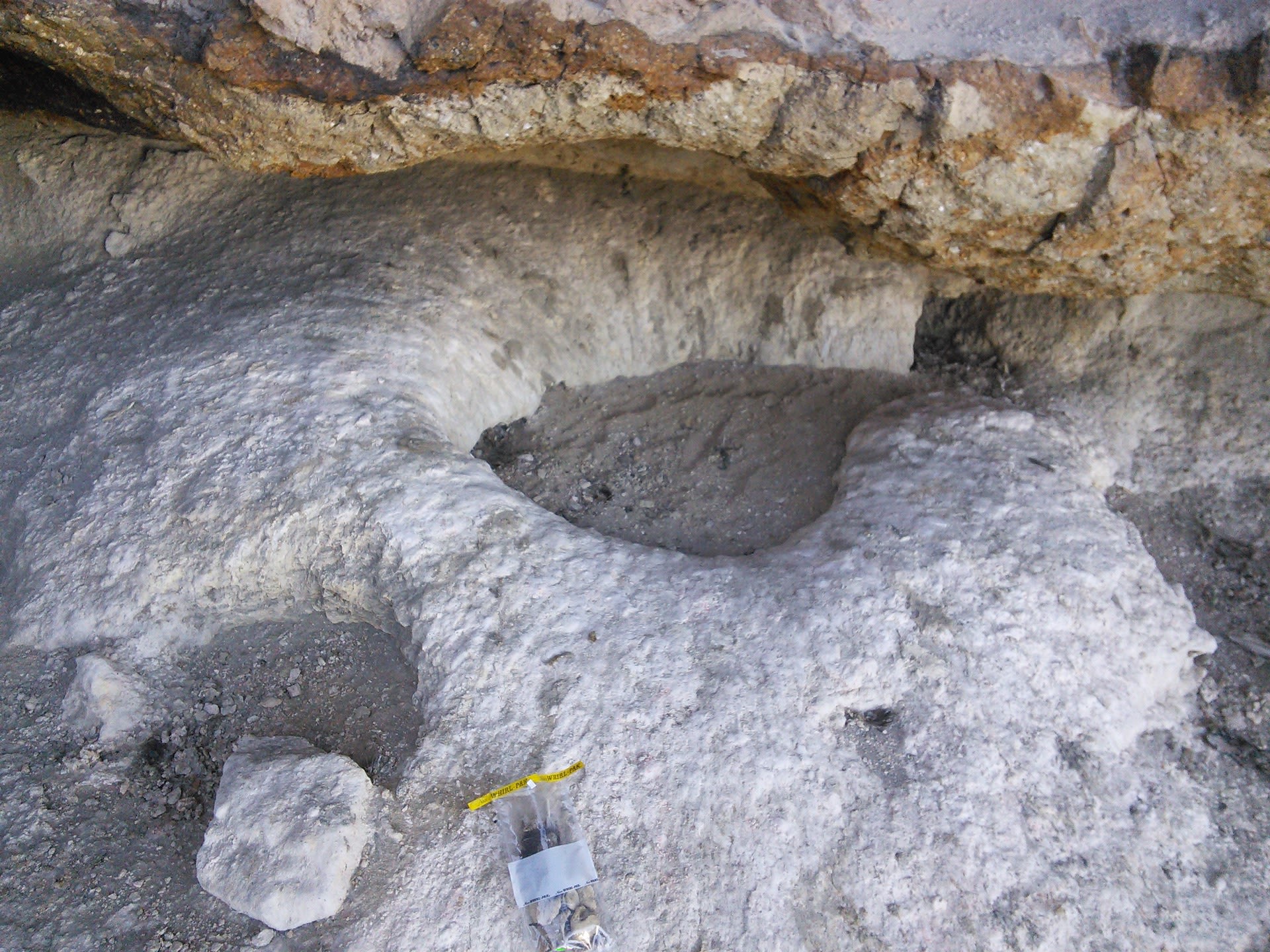 Natural, human impacts on animals seen in 2,000-year-old condor poop ...