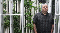 How vertical indoor farming can reduce water use by up to 98%