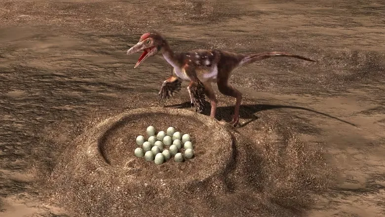 What fossil eggs found in Alberta reveal about how dinosaurs became birds