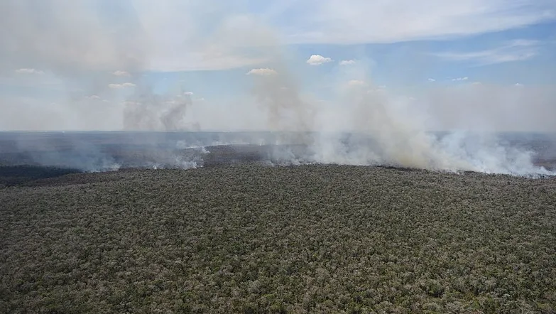 Historic Amazon rainforest fires threaten climate, raise risk of new diseases