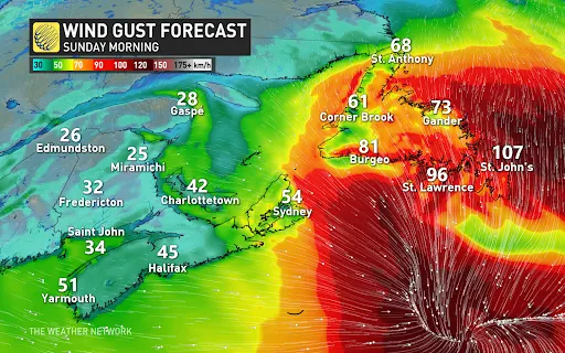 First Nor'easter of the year targets Atlantic Canada - The Weather Network