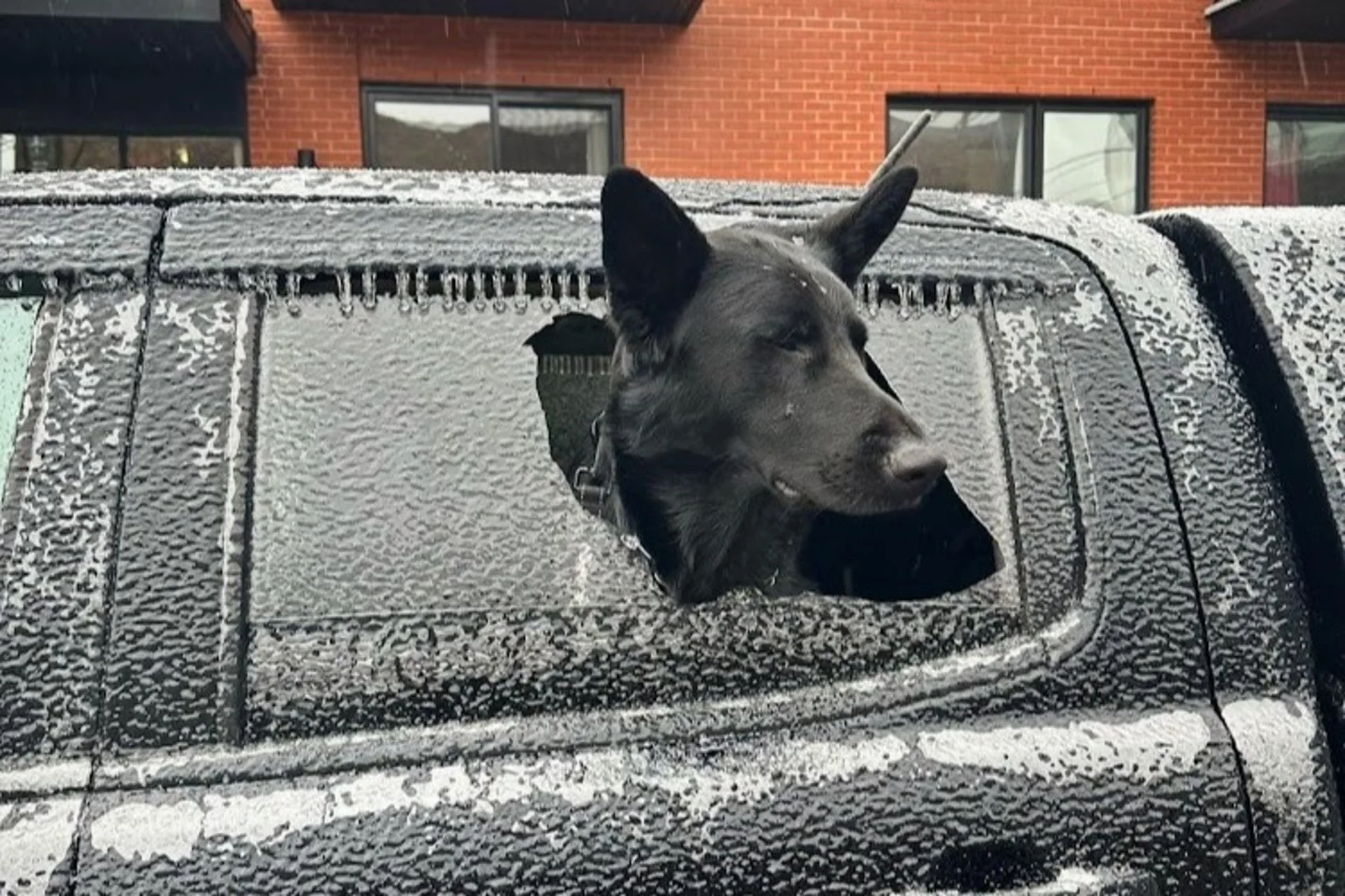 EN IMAGES | Verglas et orages violents du Québec jusqu'en Ontario