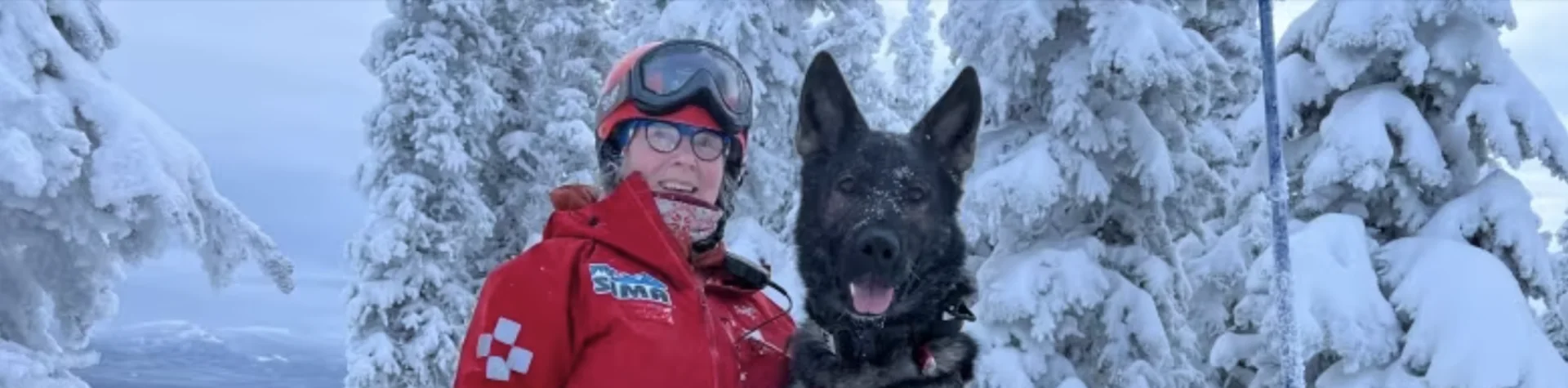 Meet Kipper, the newest — and only — avalanche dog in Canada's North