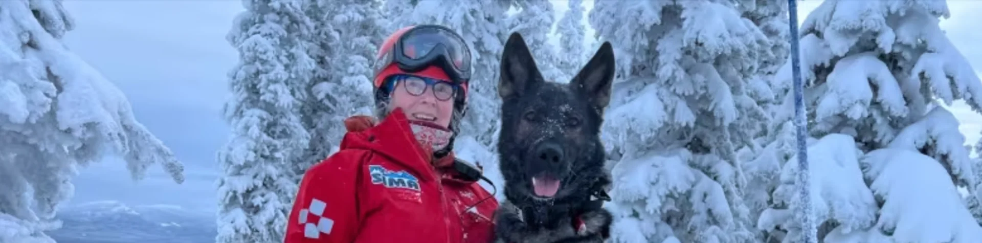 Meet Kipper, the newest — and only — avalanche dog in Canada's North