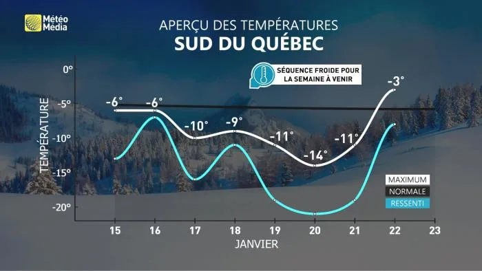 FROID5 (2)