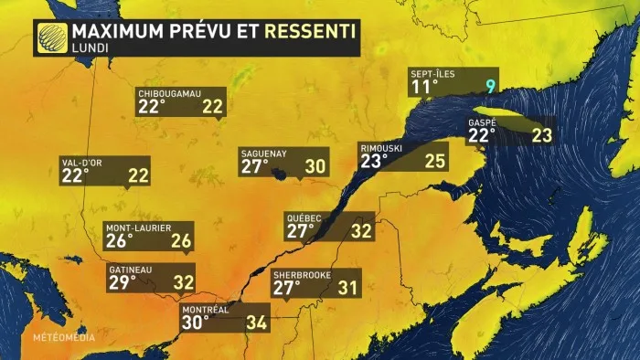 30 DEGRES 3