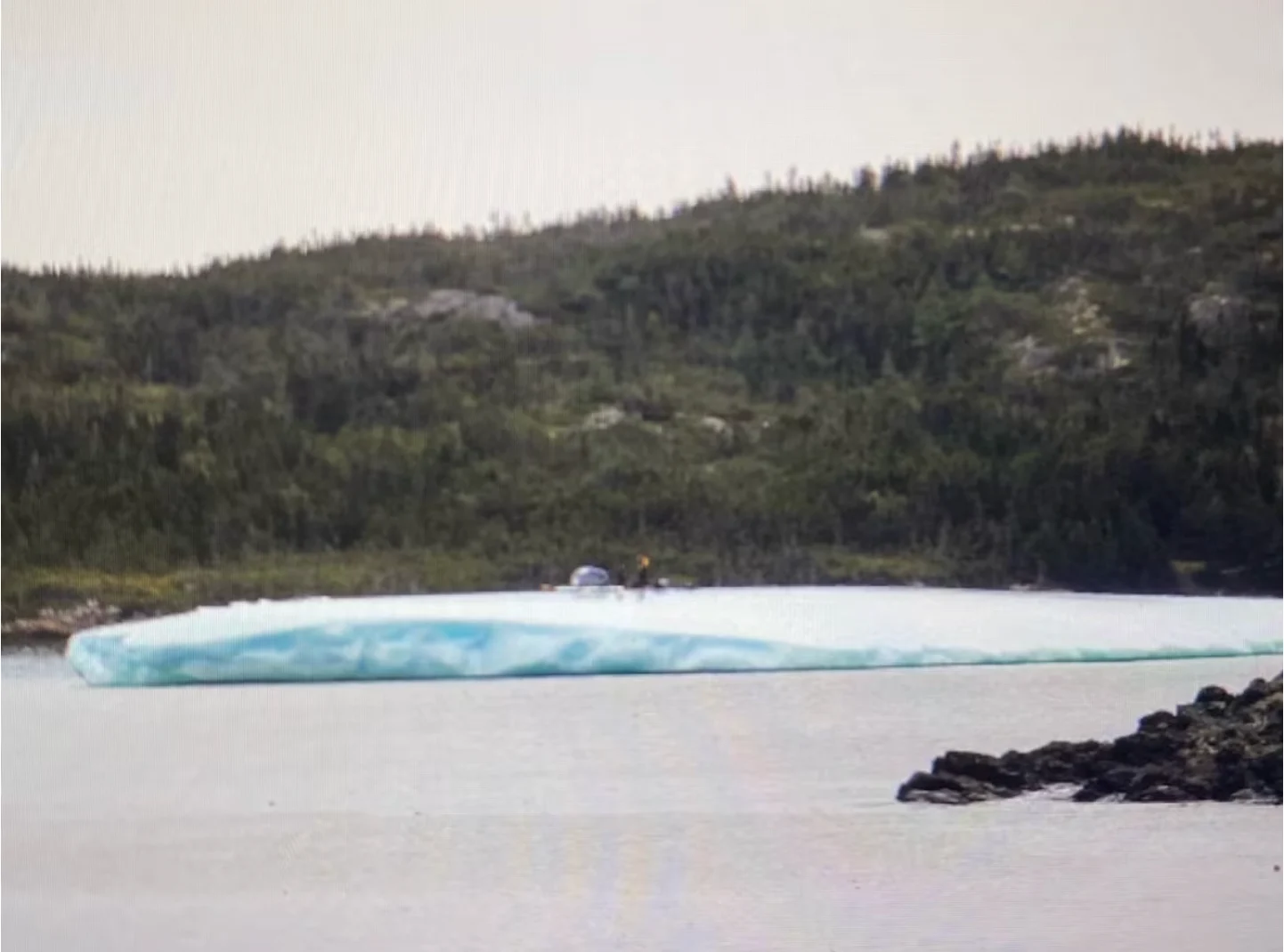 CBC: From her viewpoint, Rice says, the iceberg didn't look easy to climb onto. (Submitted by Sarah Rice)