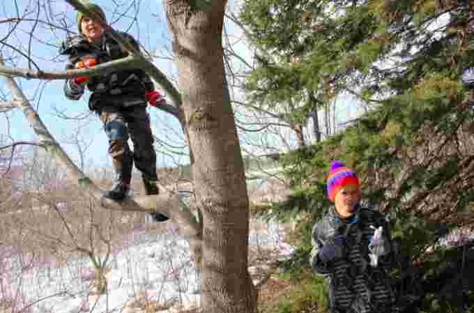 CBC kids climbing trees