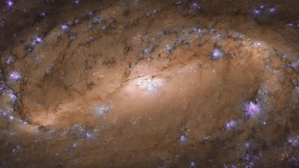 Hubble images the spectacular core of distant spiral galaxy