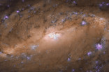 Hubble images the spectacular core of distant spiral galaxy