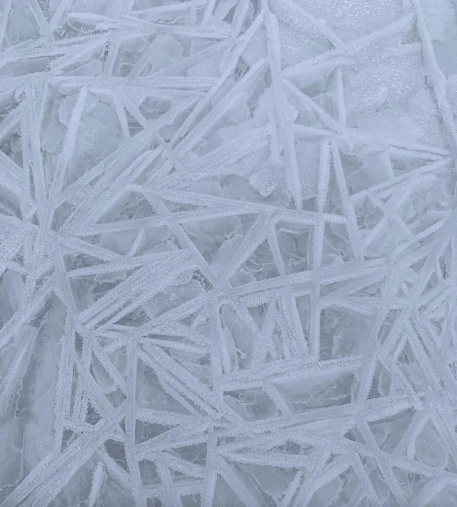 CBC: Kavanaugh said the stick-like formations happen in calm conditions when supercooled water molecules arrange themselves into crystals that tend to grow like needles. (Submitted by Peter Hofbauer)