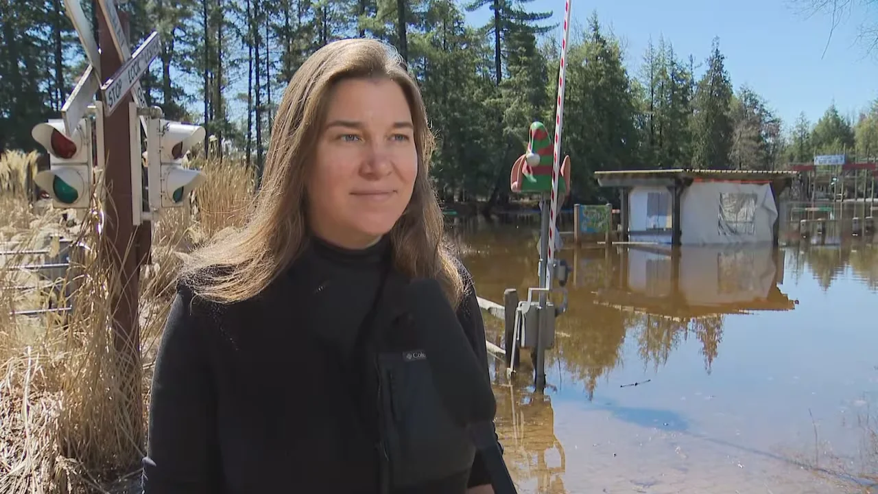 default/Mehrdad Nazarahari/CBC News