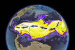 Sahara dust blankets Caribbean skies with hazardous 'Godzilla' cloud