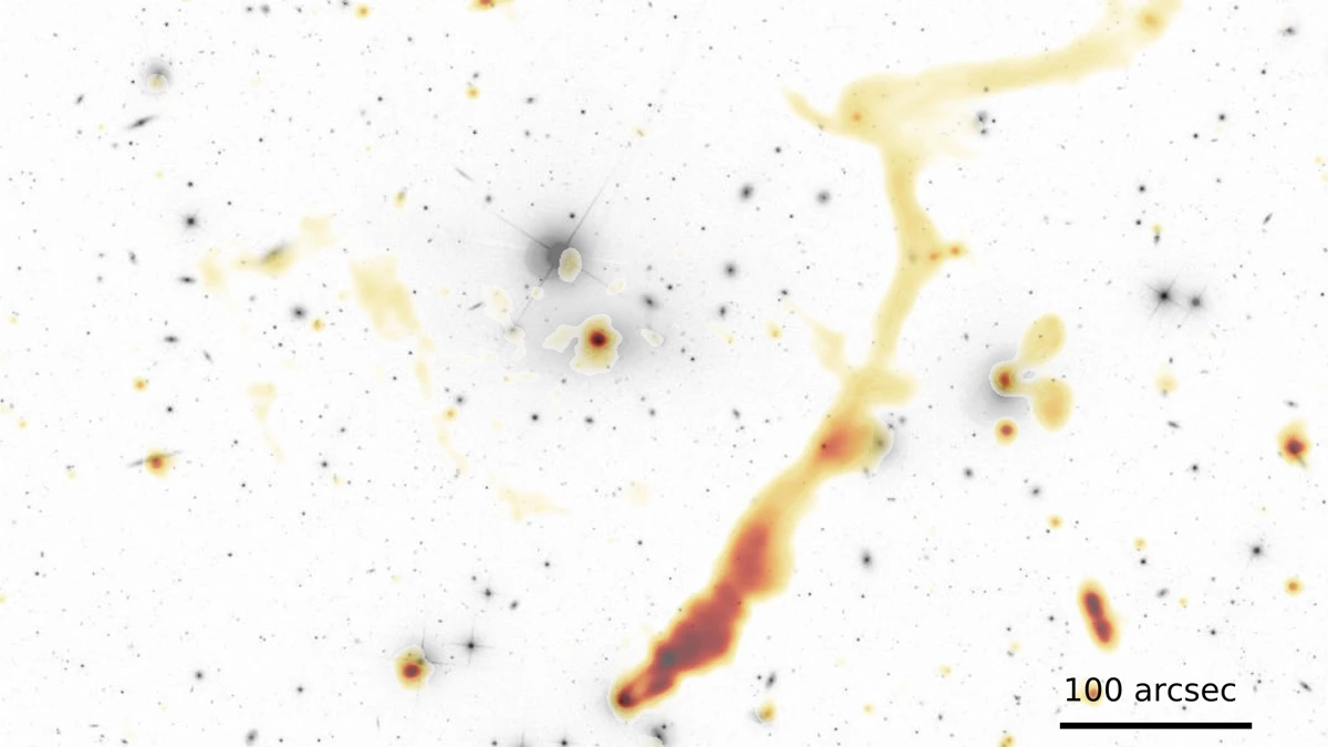 Radio map of the universe reveals 300,000 newfound galaxies