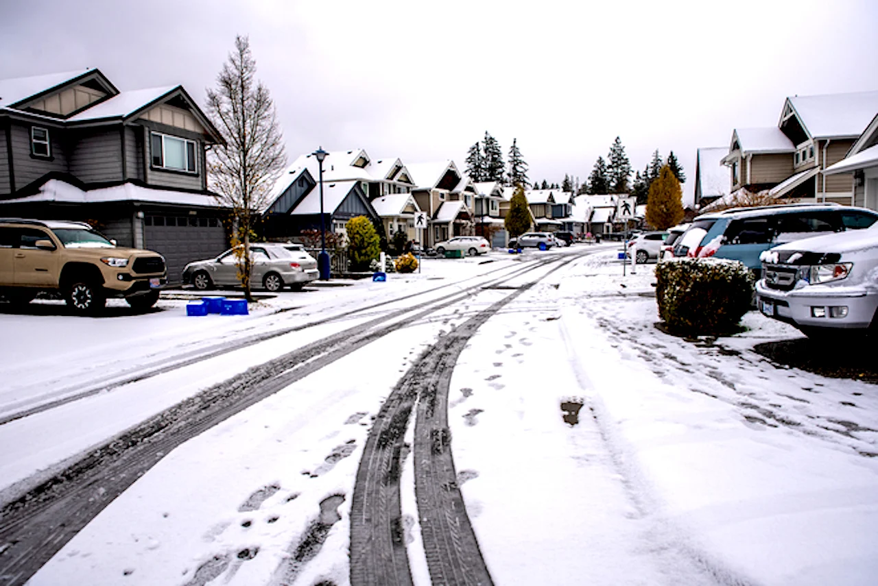 PHOTOS: Hefty snow unleashed on B.C. South Coast, travel hindered