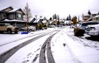 PHOTOS: Hefty snow unleashed on B.C. South Coast, travel hindered