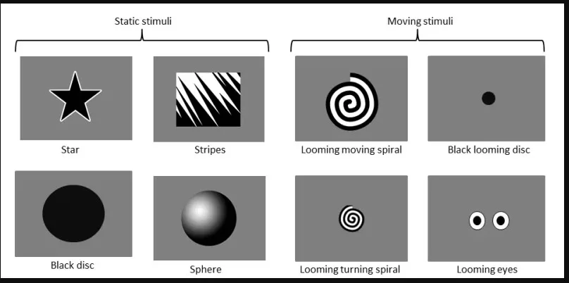 illusionsoptiquesaeroport