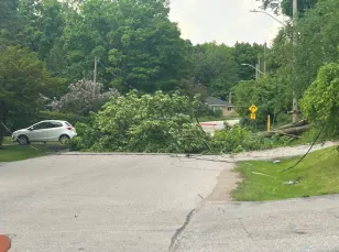 IN PHOTOS: Downed trees and huge hail as tornado-warned storms hit Ontario 