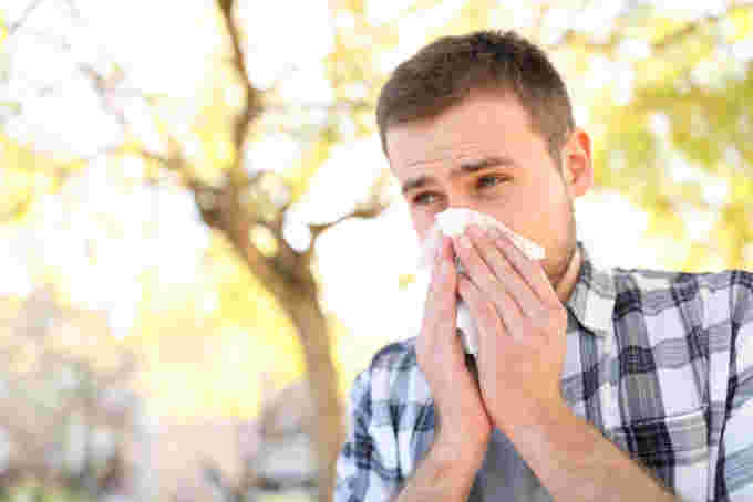 The Weather Network - The top allergies affecting Canadians