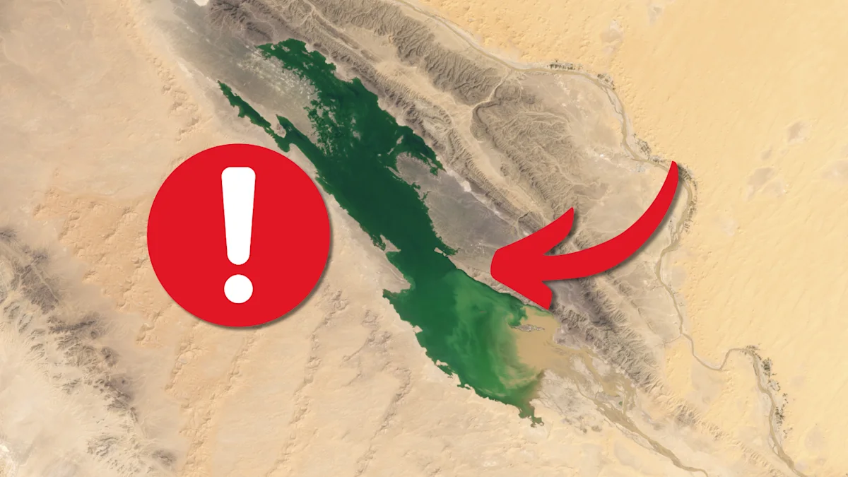 Rare Sahara Desert rains filled lakes that hardly ever see water - The ...