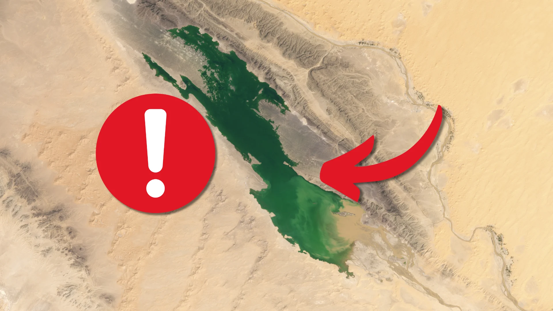 Rare Sahara Desert rains filled lakes that hardly ever see water