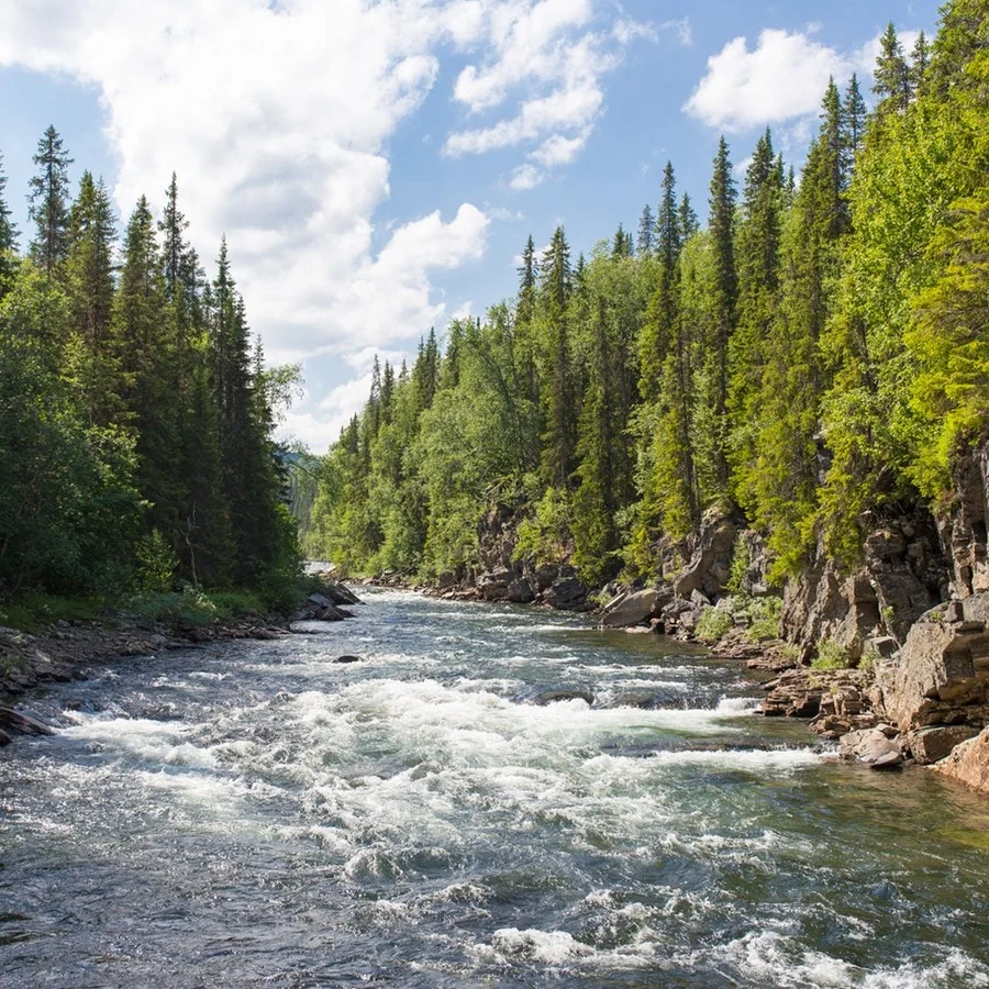 Plus de pesticides que jamais dans les rivières du Québec