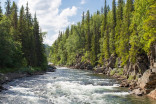 Plus de pesticides que jamais dans les rivières du Québec
